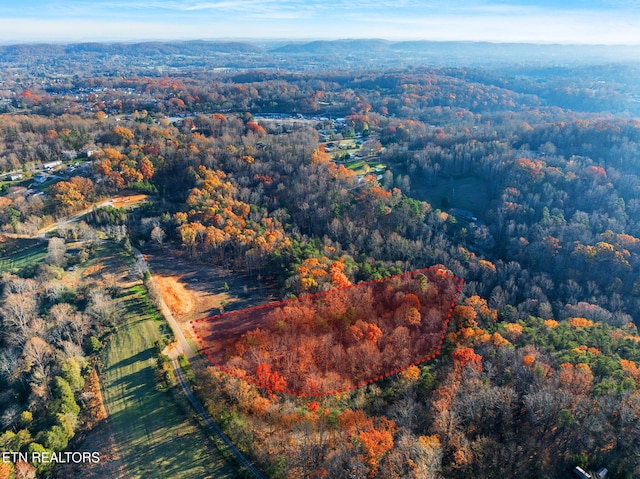 230 Wells Rd, Powell, TN 37849 - photo 6