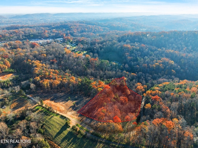 230 Wells Rd, Powell, TN 37849 - photo 13