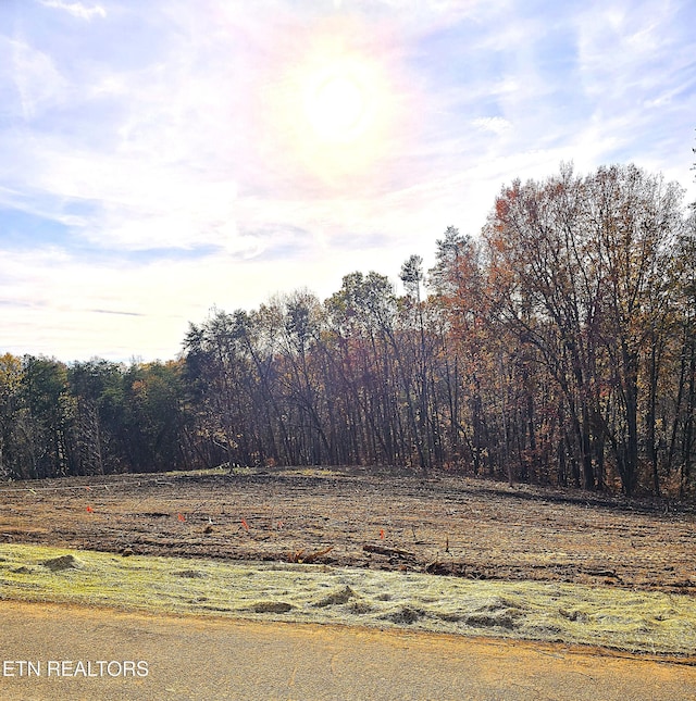 230 Wells Rd, Powell, TN 37849 - photo 5