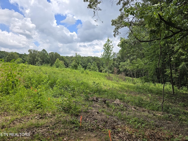 230 Wells Rd, Powell, TN 37849 - photo 3