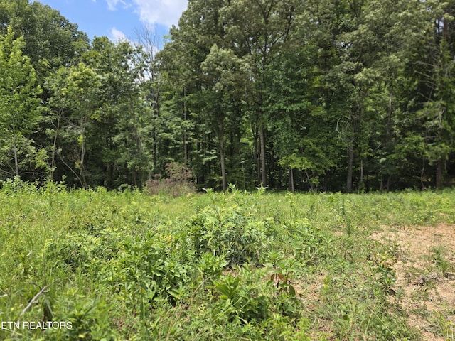 230 Wells Rd, Powell, TN 37849 - photo 4