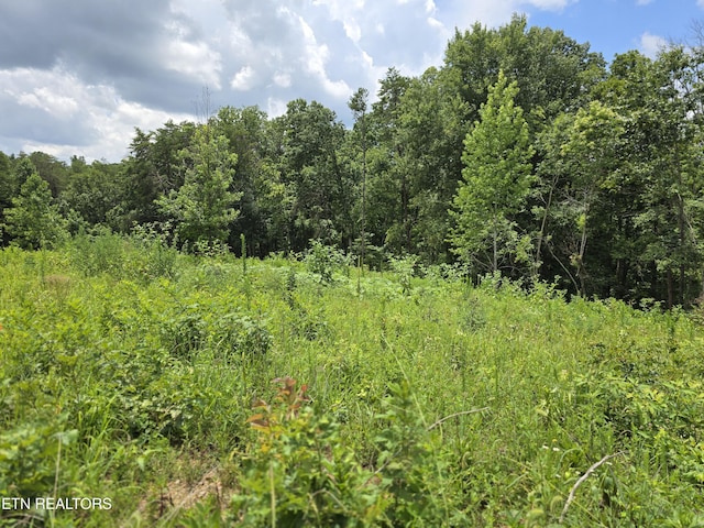 230 Wells Rd, Powell, TN 37849 - photo 2