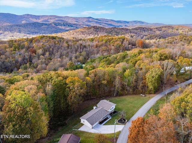 bird's eye view with a mountain view