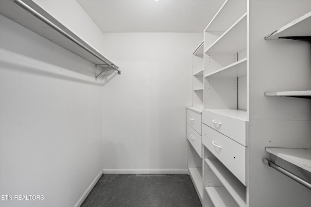 walk in closet featuring dark colored carpet