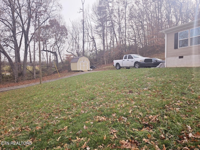 view of yard with a storage shed