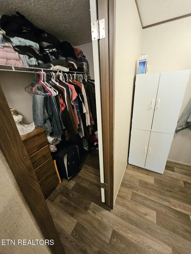 walk in closet with dark hardwood / wood-style flooring