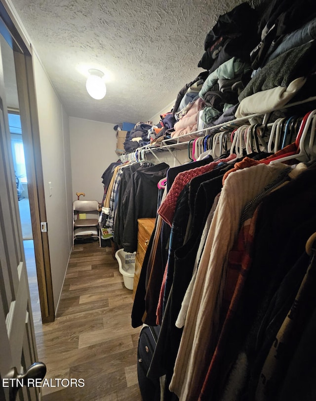 walk in closet with hardwood / wood-style flooring