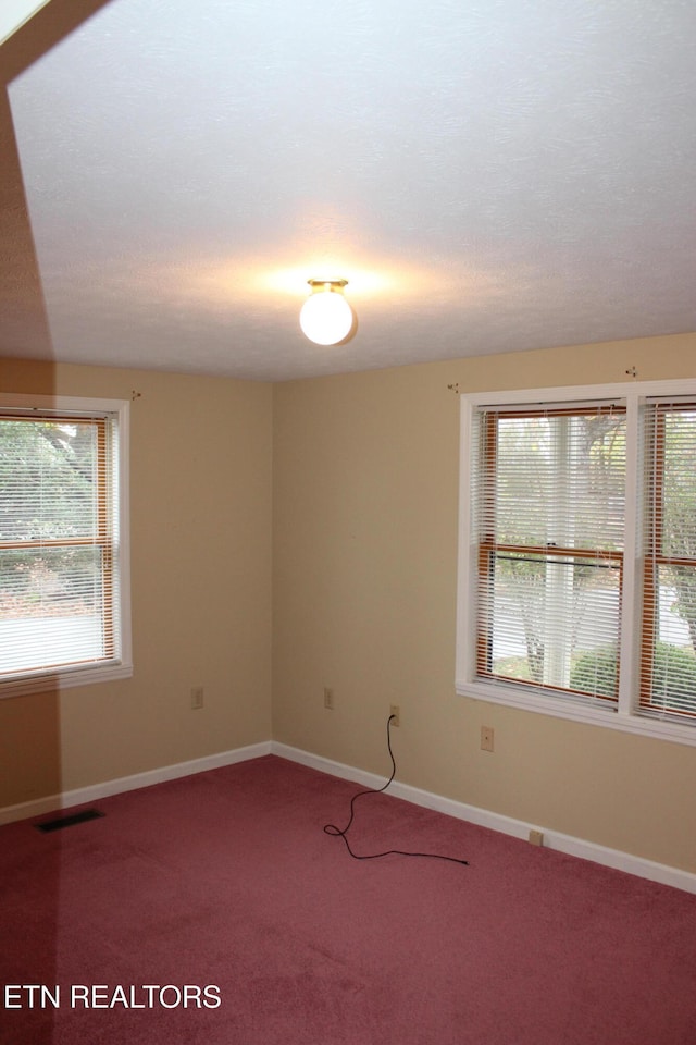 carpeted spare room featuring a healthy amount of sunlight