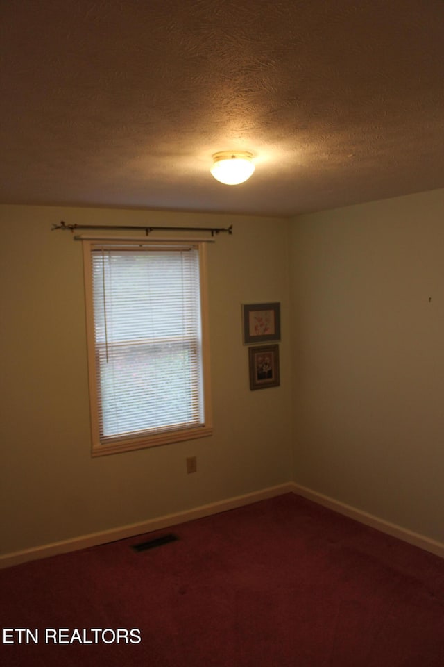 empty room featuring carpet floors and a textured ceiling