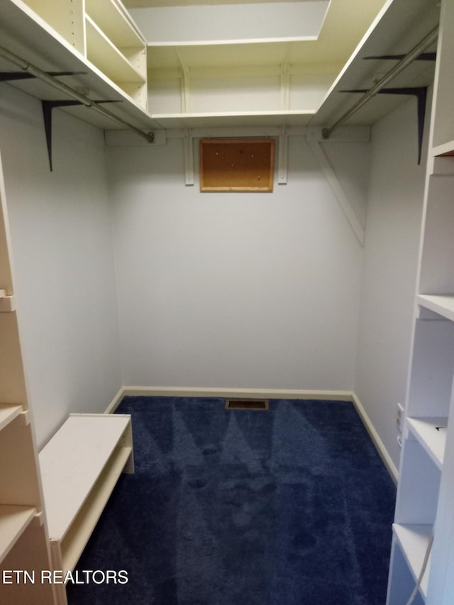 walk in closet with carpet flooring