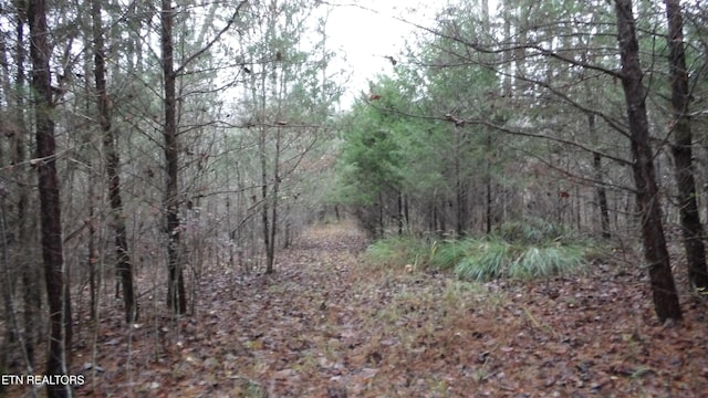 LOT27 N Star Rd, Jamestown TN, 38556 land for sale