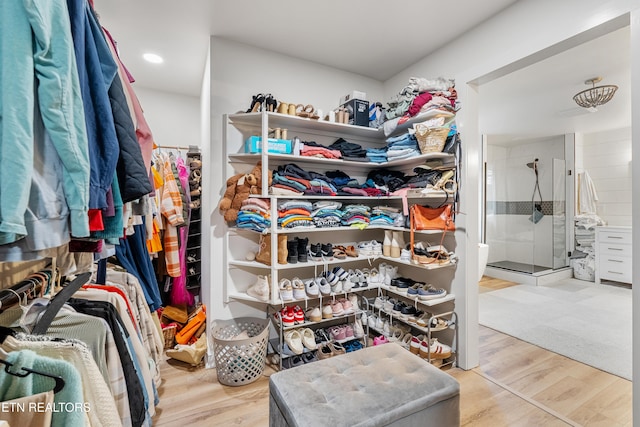 walk in closet featuring light hardwood / wood-style flooring