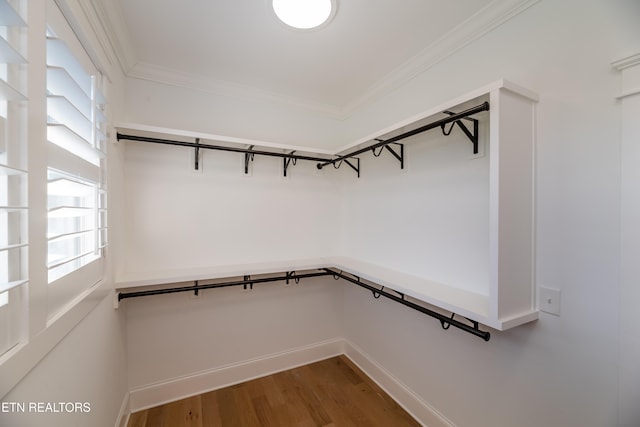 walk in closet featuring hardwood / wood-style flooring