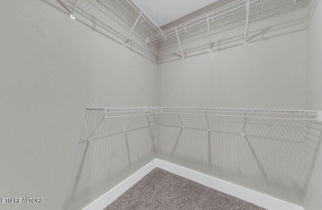 250 Clear Creek Rd, Kodak, TN 37764 - spacious closet with carpet flooring