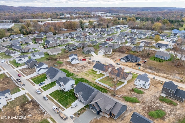 bird's eye view