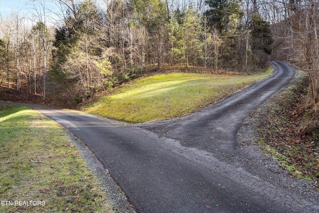 view of road