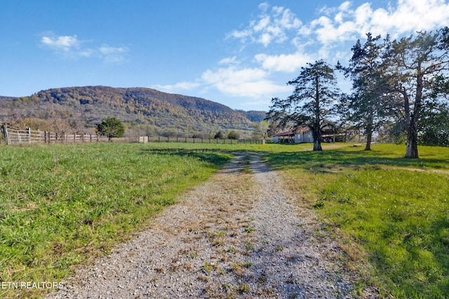 188 Marion Agee Rd, Pikeville, TN 37367 - photo 9