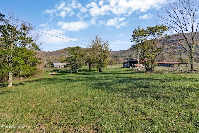 188 Marion Agee Rd, Pikeville, TN 37367 - photo 13