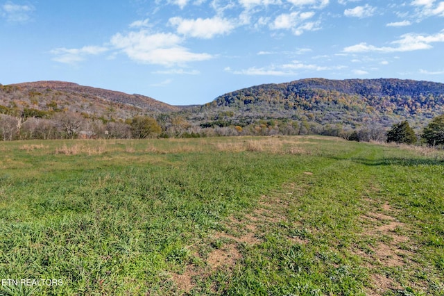 188 Marion Agee Rd, Pikeville, TN 37367 - photo 15