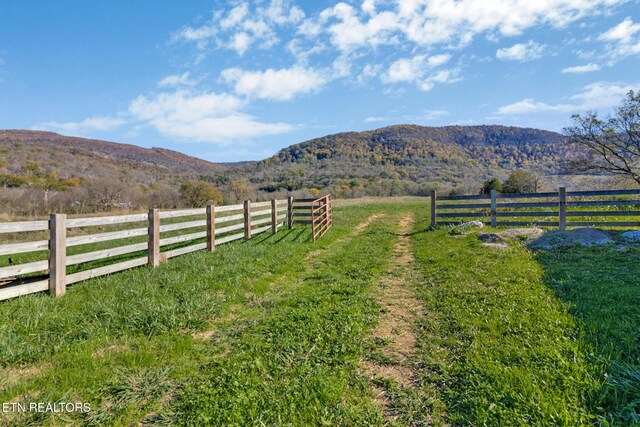 188 Marion Agee Rd, Pikeville, TN 37367 - photo 11