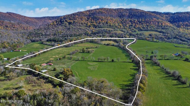 188 Marion Agee Rd, Pikeville, TN 37367 - photo 10