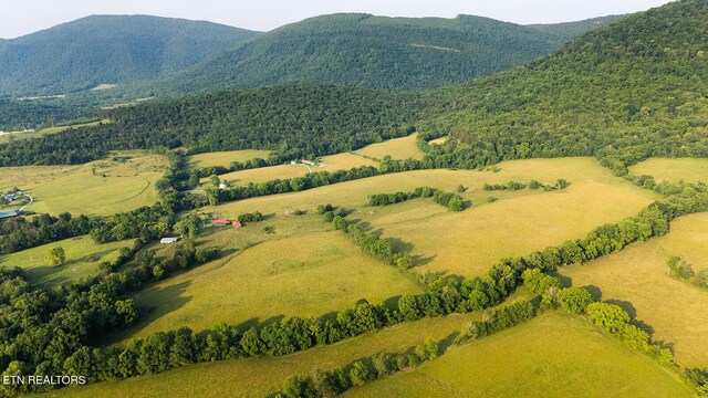 188 Marion Agee Rd, Pikeville, TN 37367 - photo 6