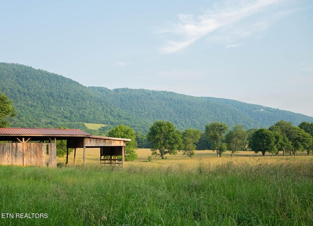 188 Marion Agee Rd, Pikeville, TN 37367 - photo 4