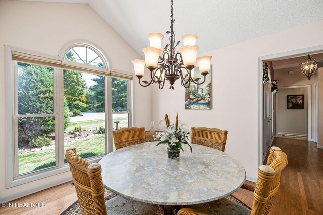 dining area featuring hardwood / wood-style flooring, vaulted ceiling, and a healthy amount of sunlight