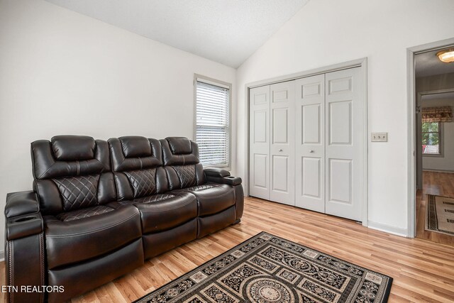 living room with hardwood / wood-style floors and vaulted ceiling