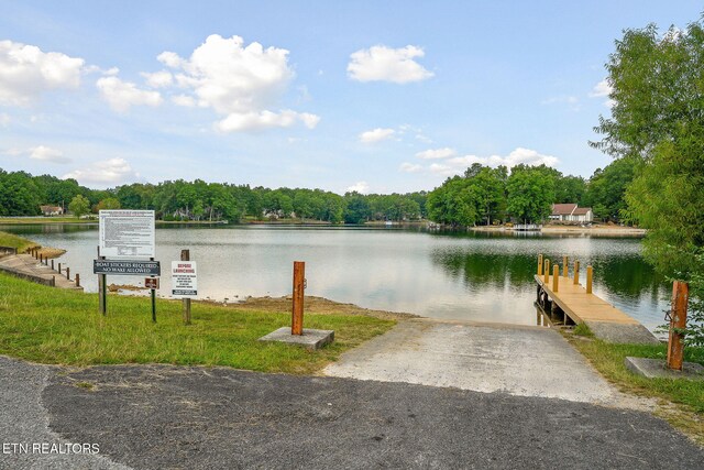 water view featuring a boat dock