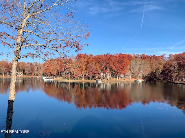 property view of water