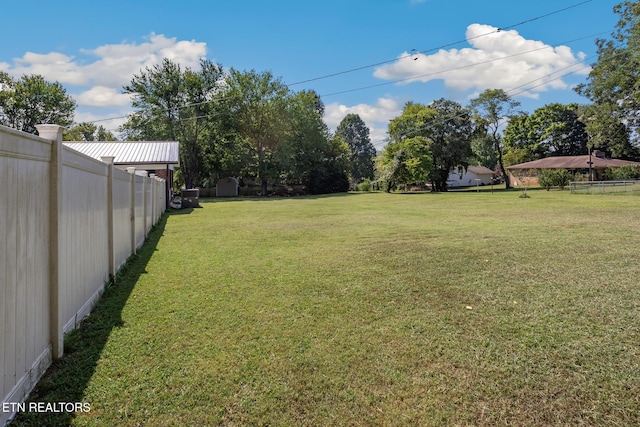 view of yard featuring a shed