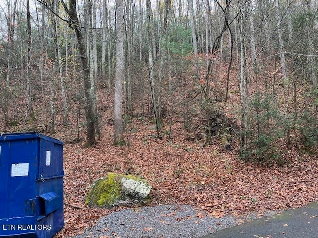 Listing photo 3 for Big Buck Trl, Townsend TN 37882