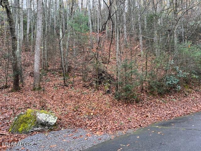 Big Buck Trl, Townsend TN, 37882 land for sale