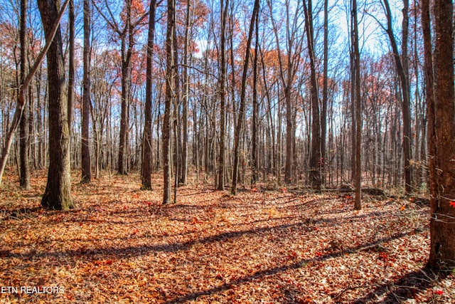 LOT2 Darrow Ridge Rd, Jamestown TN, 38556 land for sale