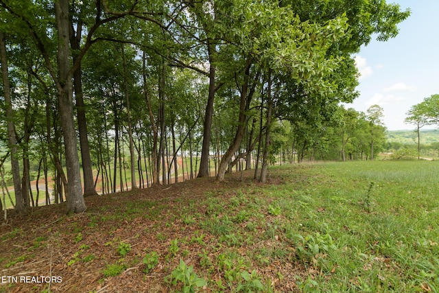 4071 Old Dogwood Trl, Loudon, TN 37774