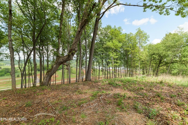 4071 Old Dogwood Trl, Loudon, TN 37774