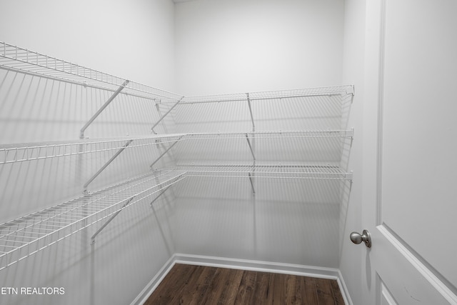 walk in closet featuring dark hardwood / wood-style flooring