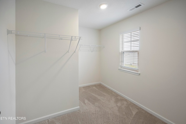 spacious closet featuring carpet flooring