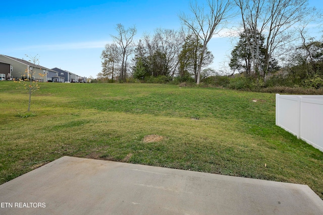 view of yard featuring a patio