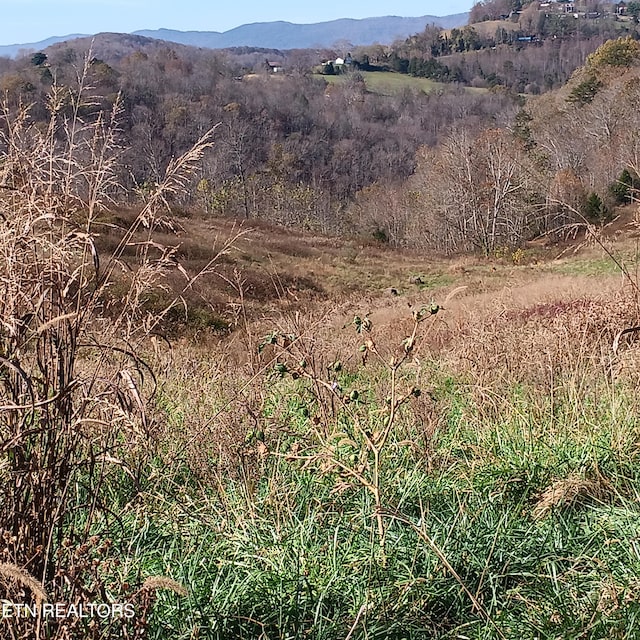 LOT9 King Bend Rd, Cumberland Gap TN, 37724 land for sale