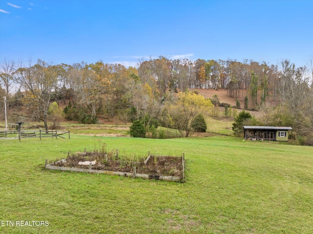 view of yard featuring a rural view