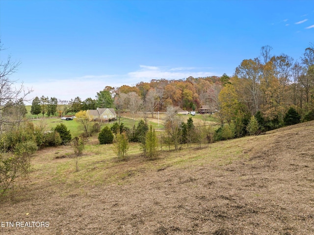 view of nature with a rural view