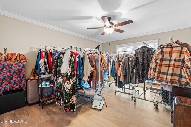 walk in closet featuring ceiling fan and light hardwood / wood-style floors