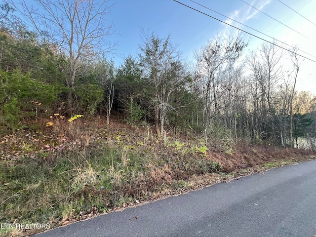 Knob Creek Blvd, Seymour TN, 37865 land for sale