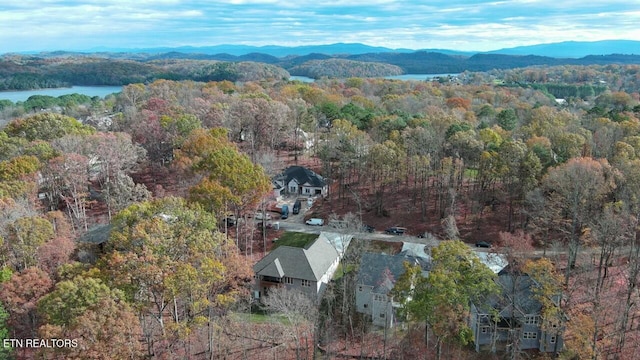 bird's eye view featuring a water and mountain view and a view of trees