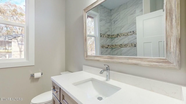 bathroom with toilet and vanity