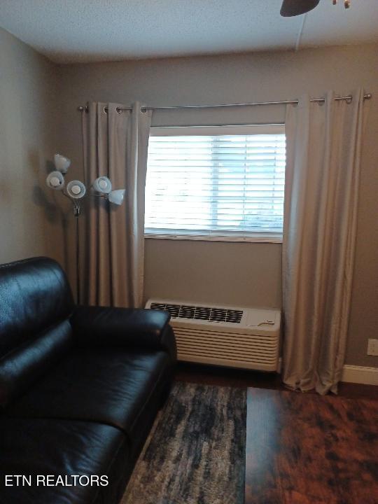 living area featuring ceiling fan, dark wood-type flooring, and a wall mounted air conditioner