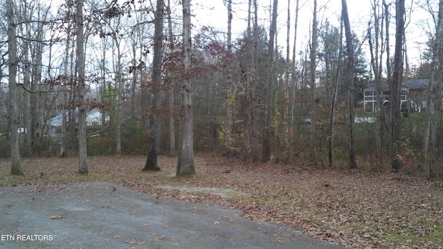 149 Horseshoe Cir, Jamestown, TN 38556 - photo 26