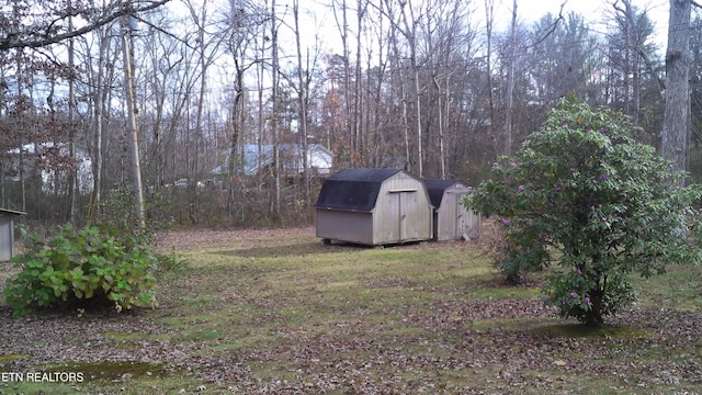 view of yard featuring a shed